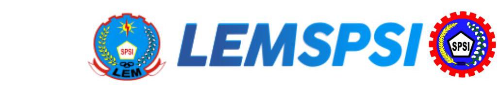 lemspsi.com