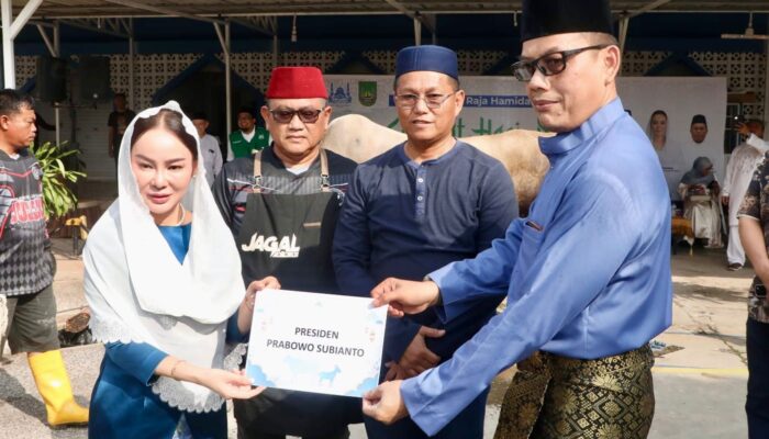 Li Claudia Serahkan Hewan Kurban Prabowo di Masjid Agung Raja Hamidah Batam