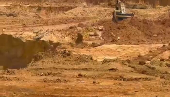 Dorong Percepatan Investasi, Penerima Alokasi Lahan di Batam Wajib Lapor hingga 31 Agustus