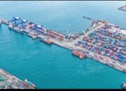 Produktivitas Terminal Peti Kemas Batu Ampar Melonjak, Ongkos Logistik Batam-Shanghai Turun hingga 50 Persen