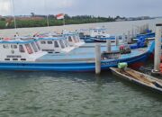 Kapal Logistik Masih Didominasi Asing, Prabowo Ingin Kapal Berbendera Merah Putih Kuasai Laut Indonesia