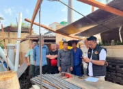 Penyalahgunaan Visa, 10 WNA China Pekerja Bangunan Diringkus Imigrasi Jakarta Utara