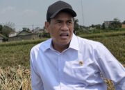 Mentan Buka Akses Bantuan Alsintan untuk Buruh Tani Tak Punya Lahan