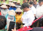 Amran Siapkan Regulasi Baru agar Buruh Tani Bisa Dapat Bantuan Alsintan