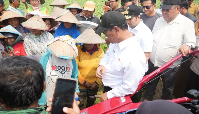 Amran Siapkan Regulasi Baru agar Buruh Tani Bisa Dapat Bantuan Alsintan