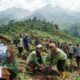 Pemprov Jabar Siapkan Reboisasi Gunung Wayang, 500 Petani Digaji Rp2,5 Juta per Bulan