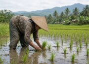 Selama Ini Terlewat, Buruh Tani Tanpa Lahan Kini Bisa Dapat Bantuan Alsintan