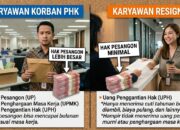 Beda Hak Pekerja Kena PHK dan Resign, Ini Ketentuannya